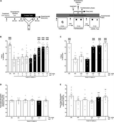 Efficacy of THN201, a Combination of Donepezil and Mefloquine, to Reverse Neurocognitive Deficits in Alzheimer’s Disease